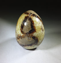 Load image into Gallery viewer, SEPTARIAN DRAGON Stone EGG Natural Stone Hand Carved Gemstone Egg