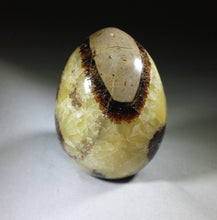 Load image into Gallery viewer, SEPTARIAN DRAGON Stone EGG Natural Stone Hand Carved Gemstone Egg