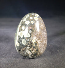 Load image into Gallery viewer, OCEAN JASPER EGG Natural Stone Hand Carved Gemstone Egg