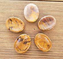 Load image into Gallery viewer, PETRIFIED WOOD Worry Stone Natural Stone Hand Carved Gemstone Worry Stone