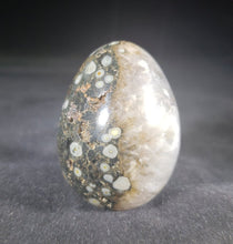 Load image into Gallery viewer, RAINFOREST RHYOLITE EGG Natural Stone Hand Carved Gemstone Egg