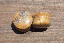 Load image into Gallery viewer, Pair of Real CRAZY LACE AGATE Plugs Gauges Body Jewelry Double Flared - Pick Size