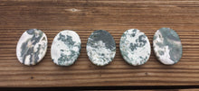 Load image into Gallery viewer, TREE AGATE Worry Stone Natural Stone Hand Carved Gemstone Worry Stone