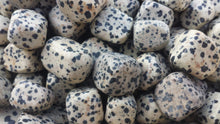 Load image into Gallery viewer, SIX (6) DALMATIAN JASPER Tumbled Stones Medium Natural Tumble Stones