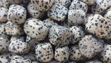 Load image into Gallery viewer, SIX (6) DALMATIAN JASPER Tumbled Stones Medium Natural Tumble Stones