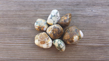 Load image into Gallery viewer, THREE (3) SPOTTED AGATE Tumbled Stones Medium/Large Natural Tumble Stones