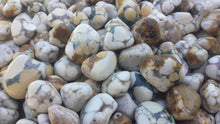 Load image into Gallery viewer, SIX (6) SPOTTED AGATE Tumbled Stones Medium/Large Natural Tumble Stones