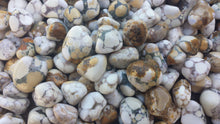 Load image into Gallery viewer, SIX (6) SPOTTED AGATE Tumbled Stones Medium/Large Natural Tumble Stones