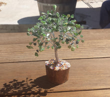 Load image into Gallery viewer, Natural GREEN JADE Gemstone Chip Tree With 150 Stones Crystal Tree Of Life
