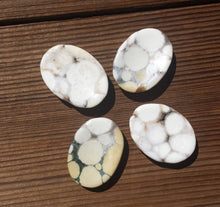 Load image into Gallery viewer, FOSSIL JASPER Worry Stone Natural Stone Hand Carved Gemstone Worry Stone