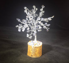 Load image into Gallery viewer, Natural IOLITE Gemstone Chip Tree With 100 Stones Crystal Tree Of Life