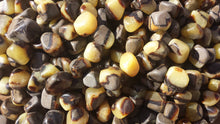 Load image into Gallery viewer, SIx (6) SEPTARIAN Dragon Stone Tumbled Stones Medium/Large Natural Tumble Stones