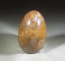 Load image into Gallery viewer, PETRIFIED WOOD EGG Natural Stone Hand Carved Gemstone Egg