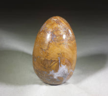 Load image into Gallery viewer, PETRIFIED WOOD EGG Natural Stone Hand Carved Gemstone Egg