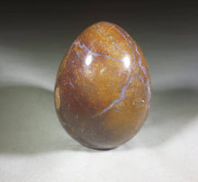 Load image into Gallery viewer, PETRIFIED WOOD EGG Natural Stone Hand Carved Gemstone Egg