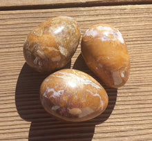 Load image into Gallery viewer, PETRIFIED WOOD EGG Natural Stone Hand Carved Gemstone Egg