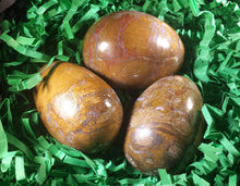 Load image into Gallery viewer, PETRIFIED WOOD EGG Natural Stone Hand Carved Gemstone Egg