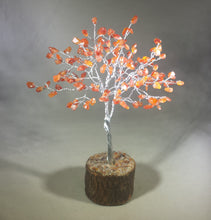 Load image into Gallery viewer, Natural CARNELIAN Gemstone Chip Tree With 150 Stones Crystal Tree Of Life