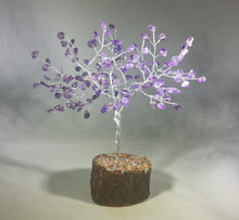Load image into Gallery viewer, Natural AMETHYST Gemstone Chip Tree With 150 Stones Crystal Tree Of Life