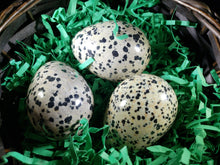 Load image into Gallery viewer, DALMATIAN JASPER EGG Natural Stone Hand Carved Gemstone Egg