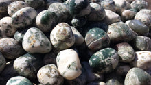 Load image into Gallery viewer, SIX (6)TREE AGATE Tumbled Stones Medium/Large Natural Tumble Stones