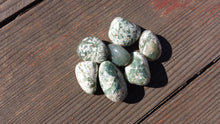 Load image into Gallery viewer, SIX (6)TREE AGATE Tumbled Stones Medium/Large Natural Tumble Stones