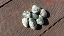 Load image into Gallery viewer, THREE (3)TREE AGATE Tumbled Stones Medium/Large Natural Tumble Stones
