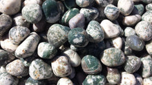 Load image into Gallery viewer, SIX (6)TREE AGATE Tumbled Stones Medium/Large Natural Tumble Stones